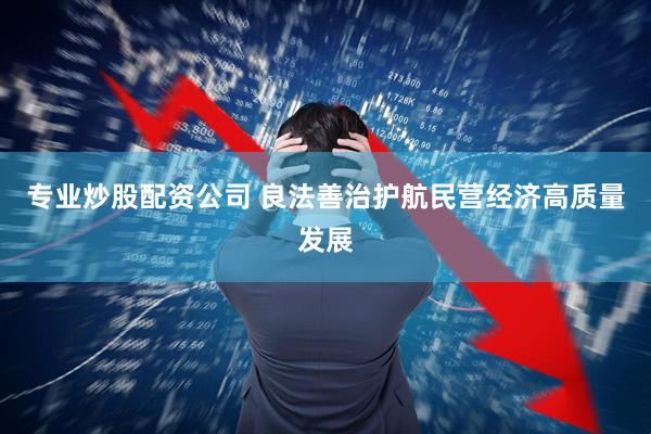 专业炒股配资公司 良法善治护航民营经济高质量发展