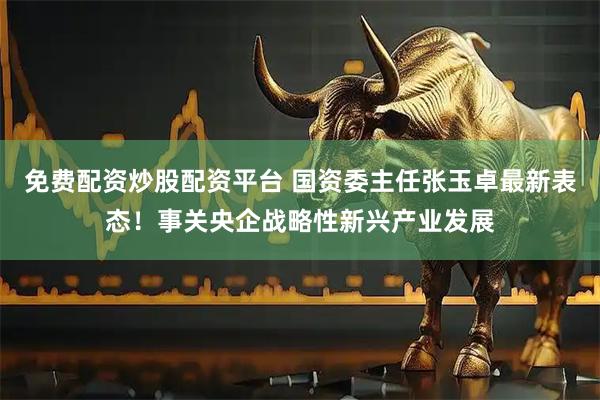 免费配资炒股配资平台 国资委主任张玉卓最新表态！事关央企战略性新兴产业发展