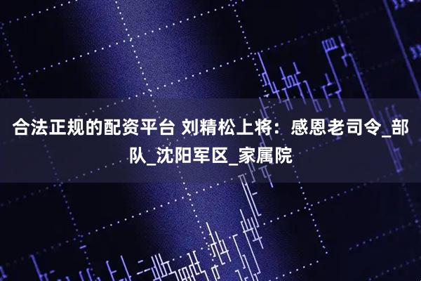 合法正规的配资平台 刘精松上将：感恩老司令_部队_沈阳军区_家属院